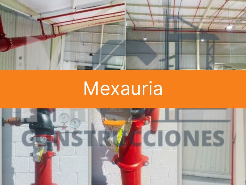 Mexauria.zip - 1